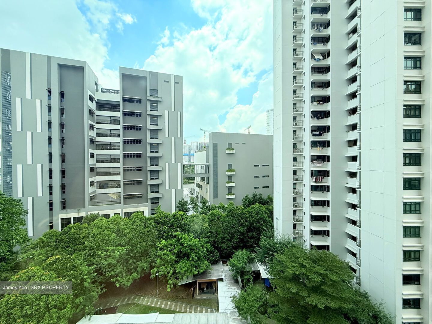 Blk 28C Dover Gardens (Queenstown), HDB 4 Rooms #593792141